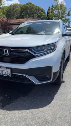 A2Z Detailing — detailing clip
